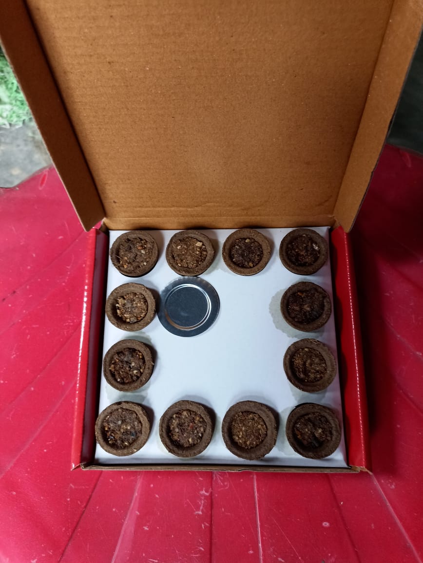 Ready-to-use havan cups